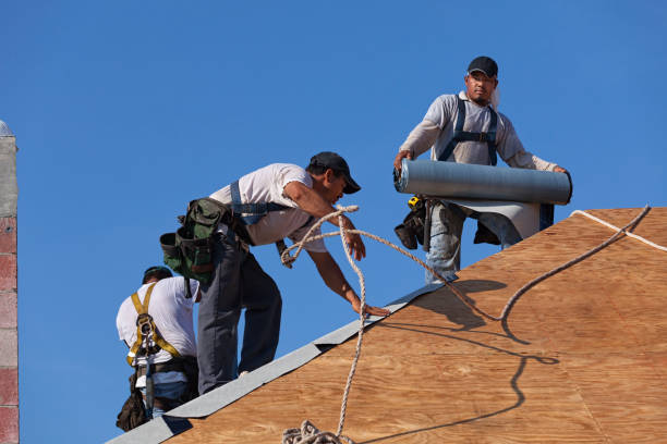 Best Flat Roof Repair Services  in Rockwood, VA